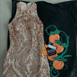 Blush homecoming Dress B116